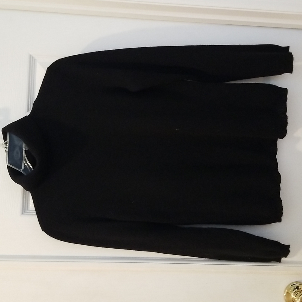Ann Taylor Petite Ladies Cashmere Turtleneck